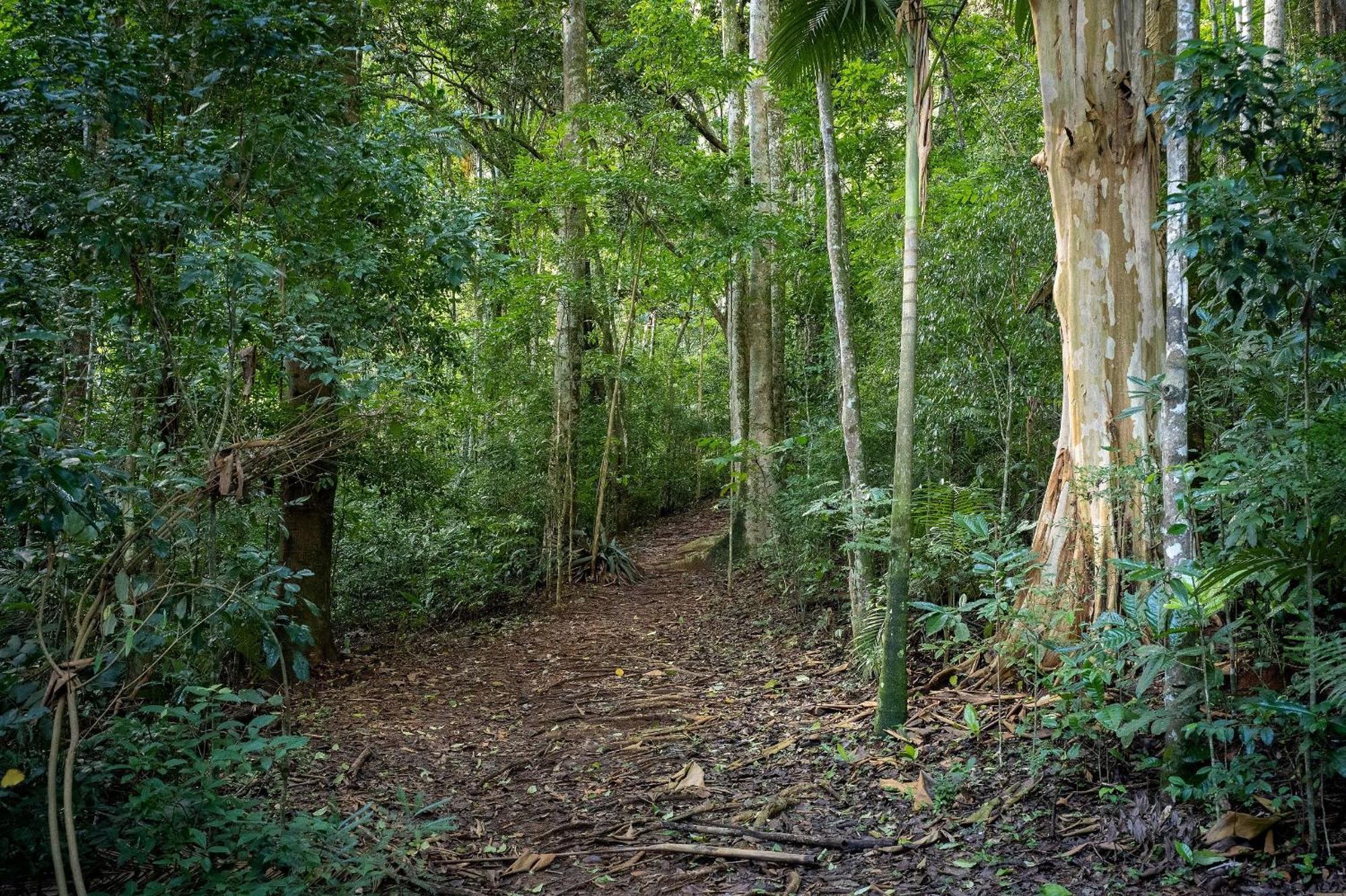 Studios De Luxo Granja Brasil Itaipava Petrópolis Zewnętrze zdjęcie